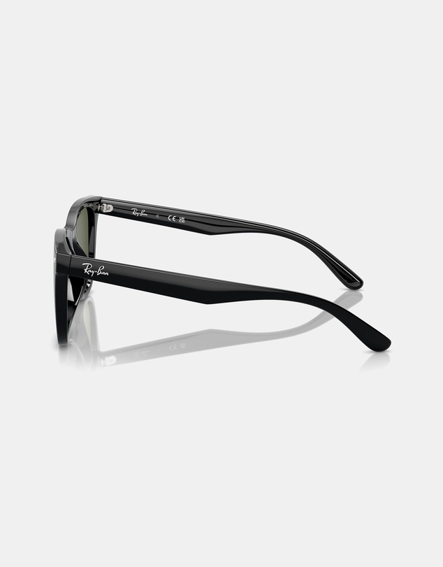 Ray-Ban - 0RB4420