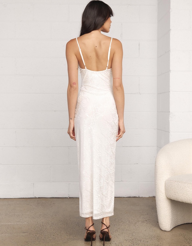 Dazie - Desert Rose Mesh Maxi Dress