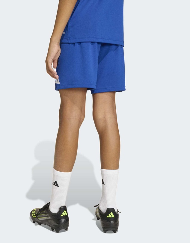 adidas Performance - Entrada26 Football Shorts Kids