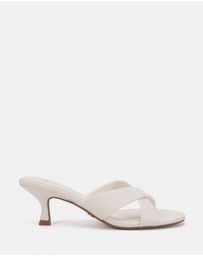 Novo - Zona Heels