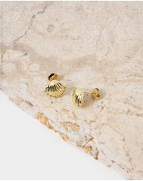 Forcast - Ayana 16k Gold Plated Earrings