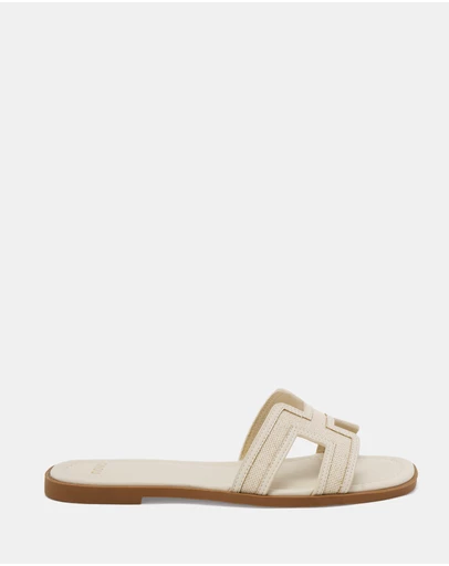 Novo - Sachie Slides