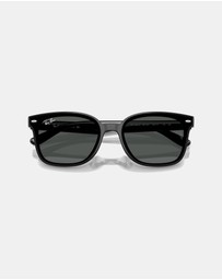 Ray-Ban - RB4461D