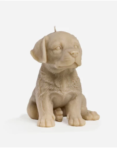 Love Ally - Labrador Candle
