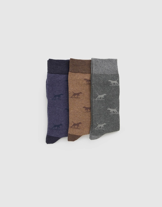 Rodd & Gunn - Dogs-A-Plenty Three Pack Socks