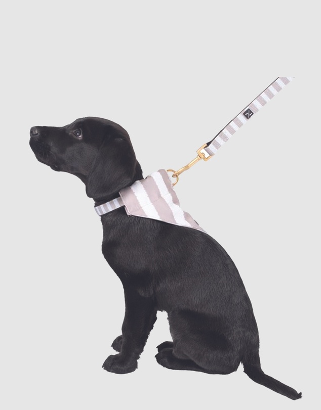 Mog & Bone - Neoprene Lead - Latte Hamptons Stripe Print