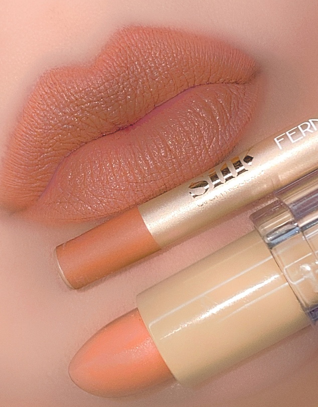 Silk Oil of Morocco - Silk Oil of Morocco by Fernando Hervas Matte Lip Kit Nude 4