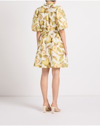 Marcs - Pear-suasion Dress