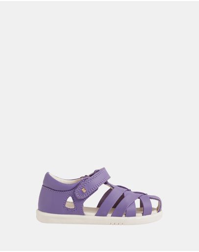 Purple Haze