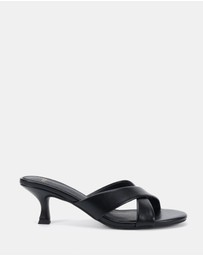Novo - Zona Heels