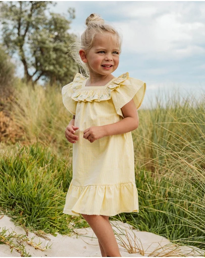Bebe by Minihaha - Libby Check Dress With Embroidered Yoke - Babies