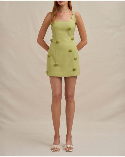 Olive Green