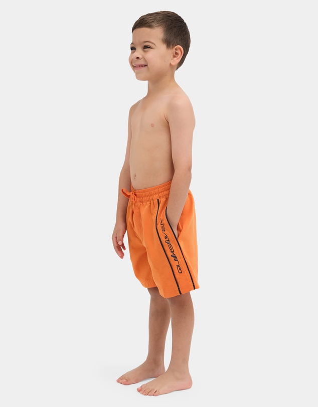 Quiksilver - Boys 2 to 7 Everyday Vert 13