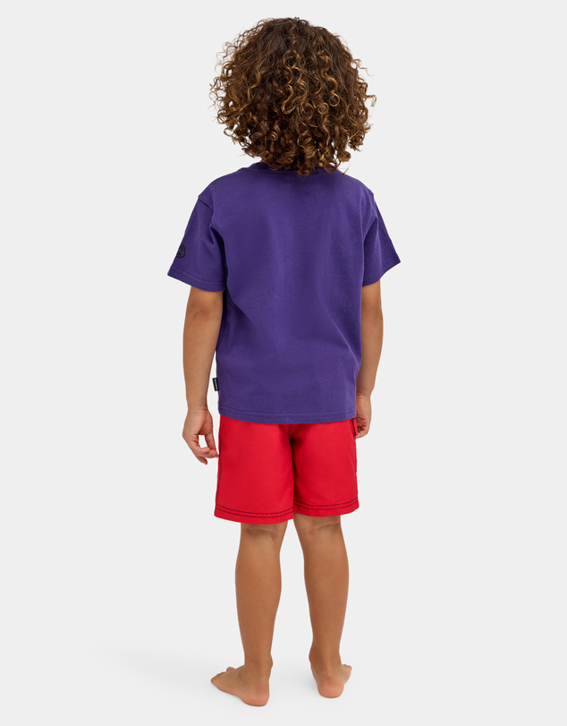 Billabong - Boys 2 to 7 Groms Spec 73 Stencil T-Shirt