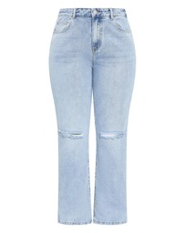 City Chic - Plus size Harley Fit Hanna Straight Leg Regular Jean - light wash