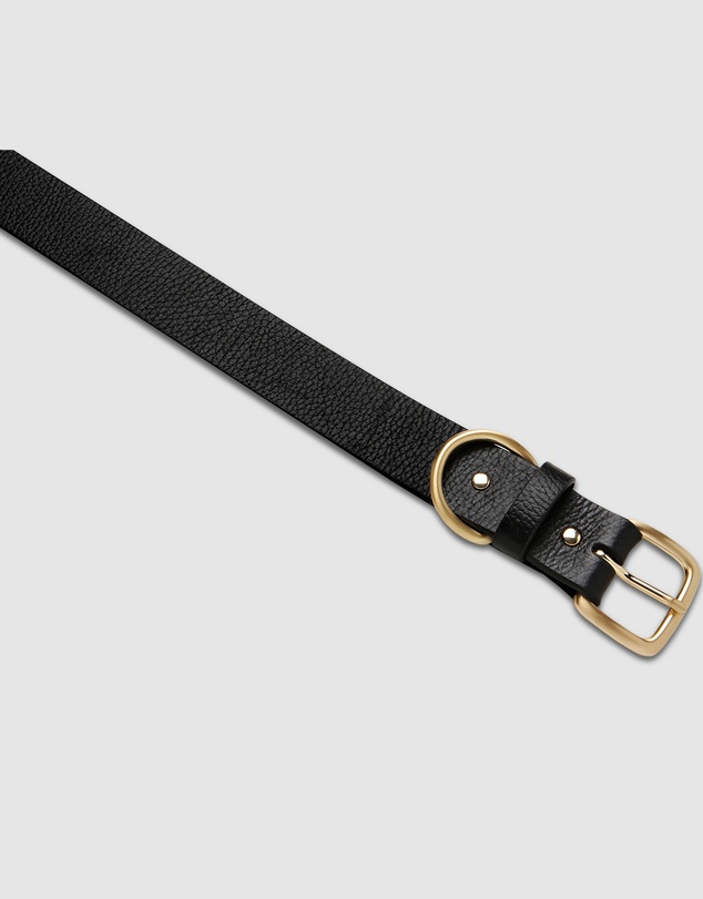 Status Anxiety - Disarm Belt