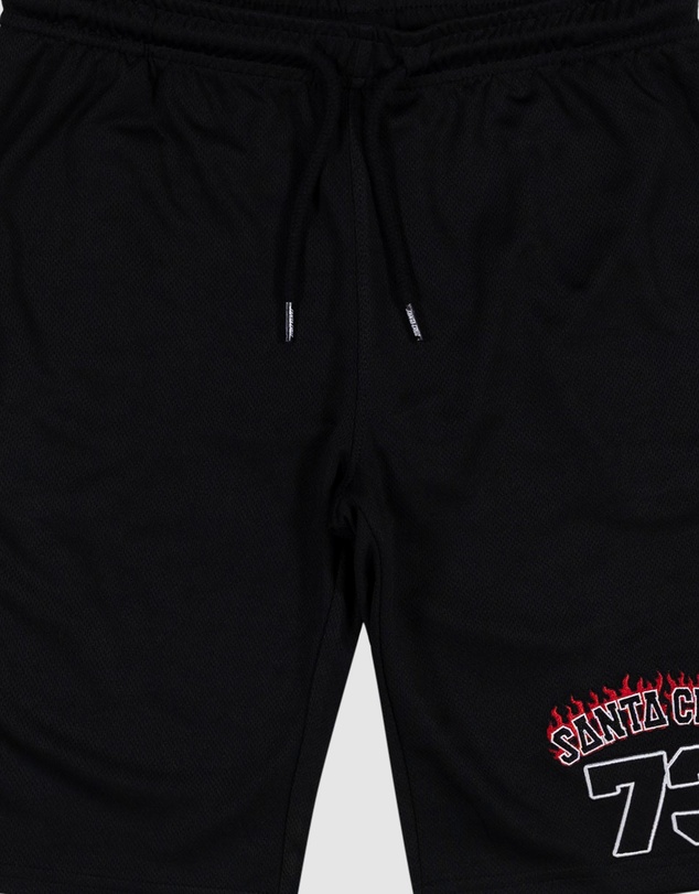 Santa Cruz - Collegiate Arch 73 Track Shorts - Teens