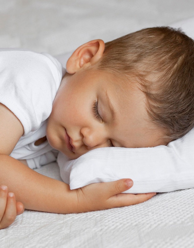 Living Textiles - Cotton Toddler Pillow