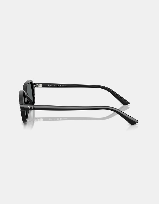 Ray-Ban - RB4455