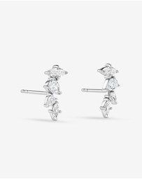Michael Hill - Cubic Zirconia Vine Stud Earrings in Sterling Silver