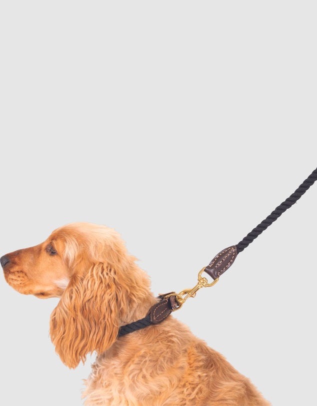 Mog & Bone - Classic Rope Dog Lead (1.2m) - Black