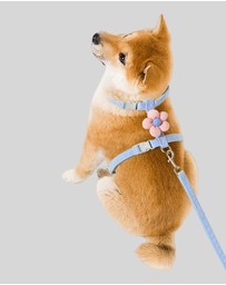 KAJA Clothing - Blossom Pet Harness