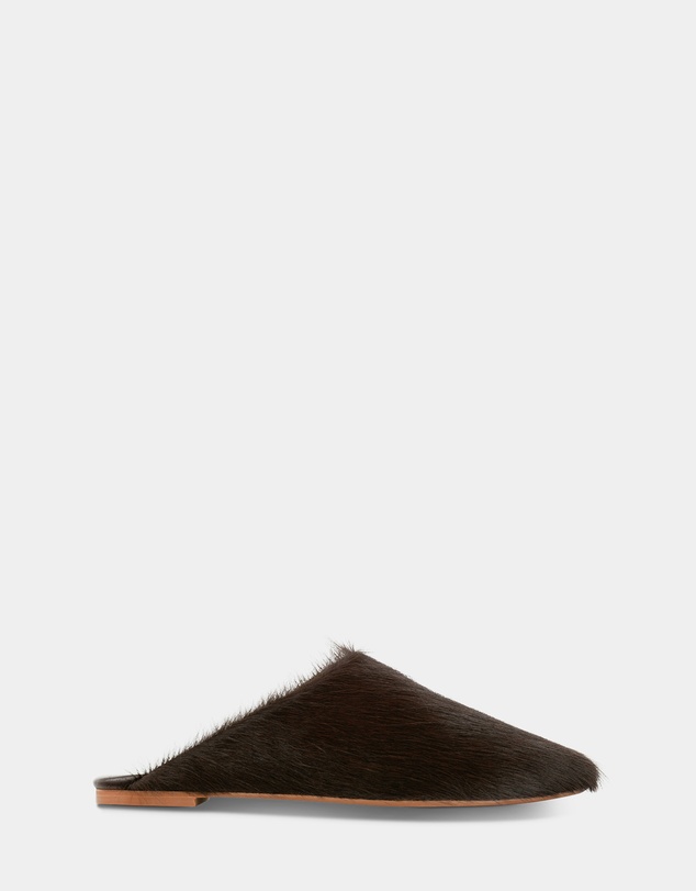 Senso - Caelan