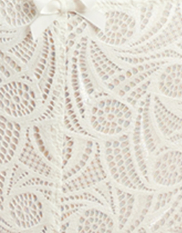 Sans Complexe - Ariane Classic Lace & Microfiber Brief