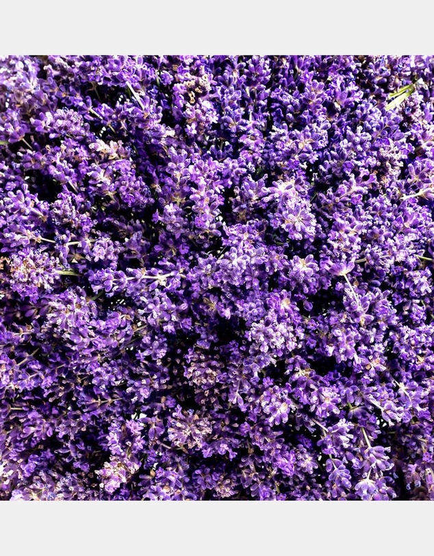 Weleda - Relax Shower Cream - Lavender