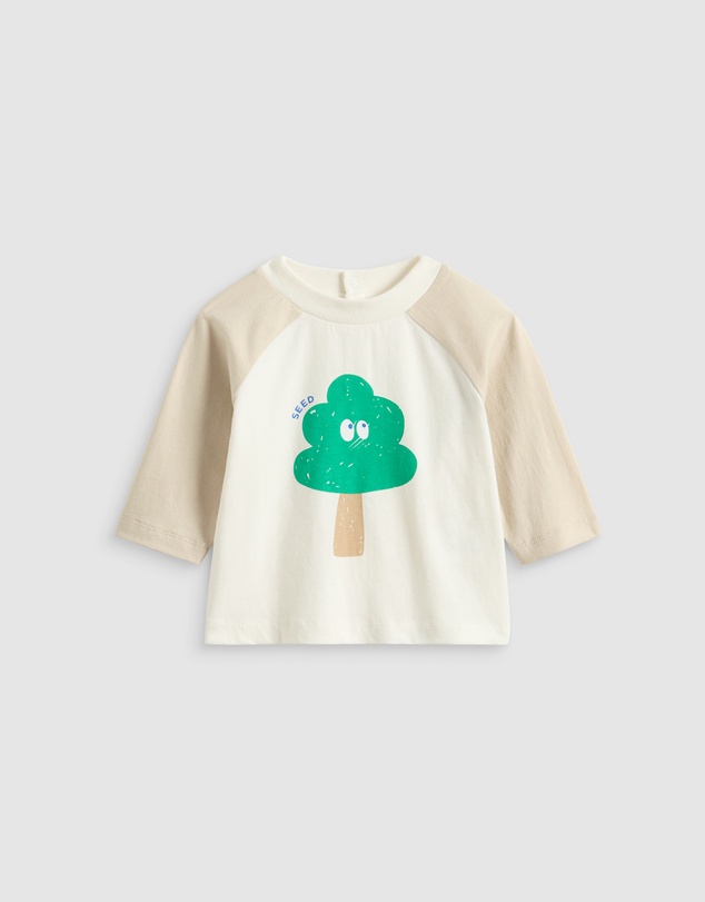 Seed Heritage - Tree Raglan Tee