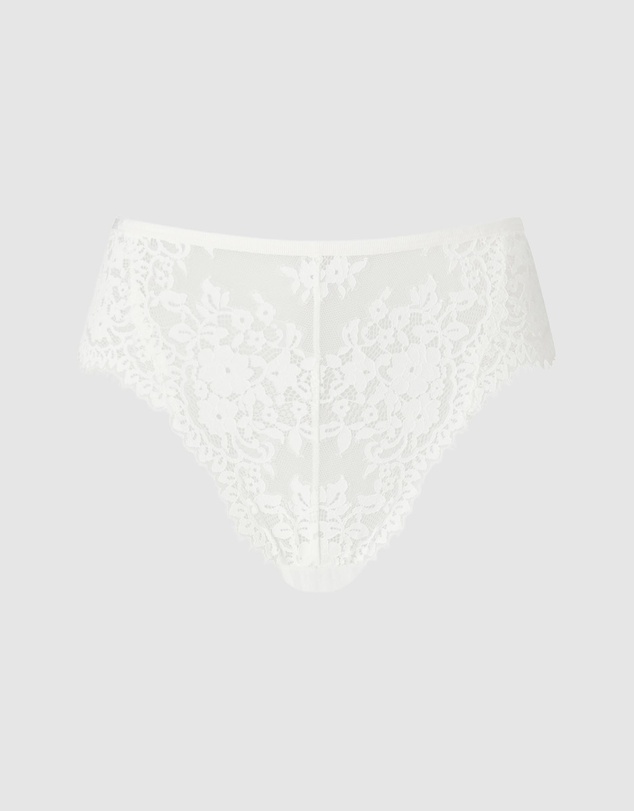 KBX - Renee High Waist Briefs