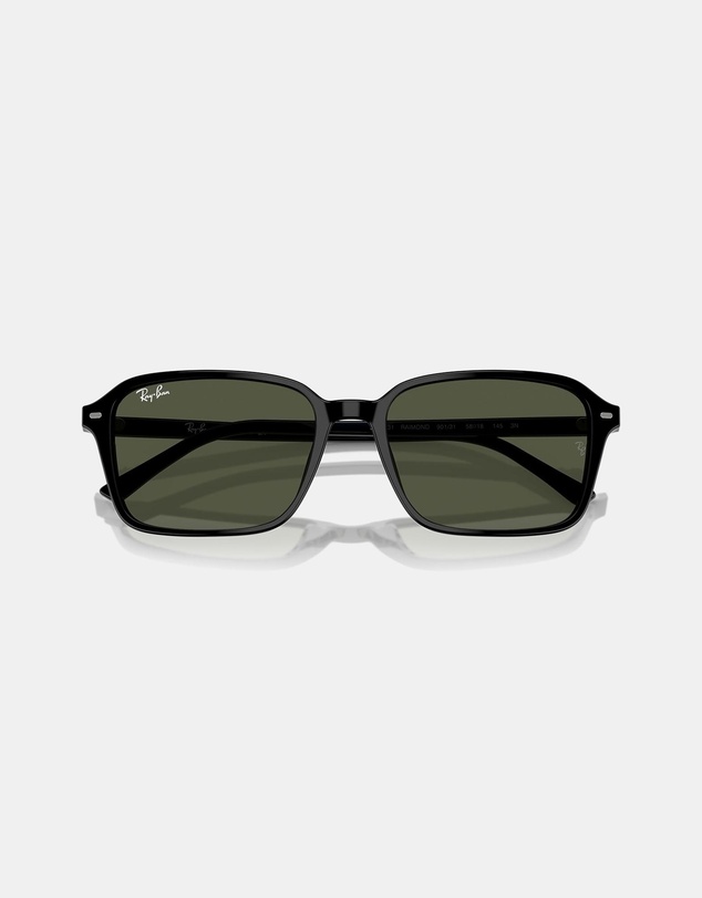 Ray-Ban - Raimond