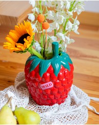 DOIY - Farmers Market Vase Raspberry