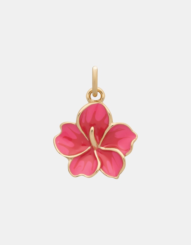 YCL  - Hibiscus Charm