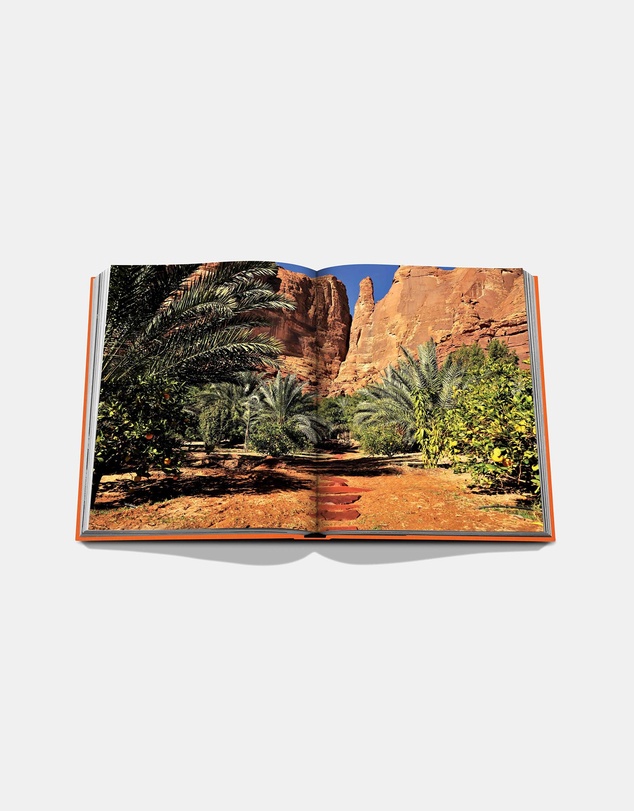Assouline  - Alula Ever