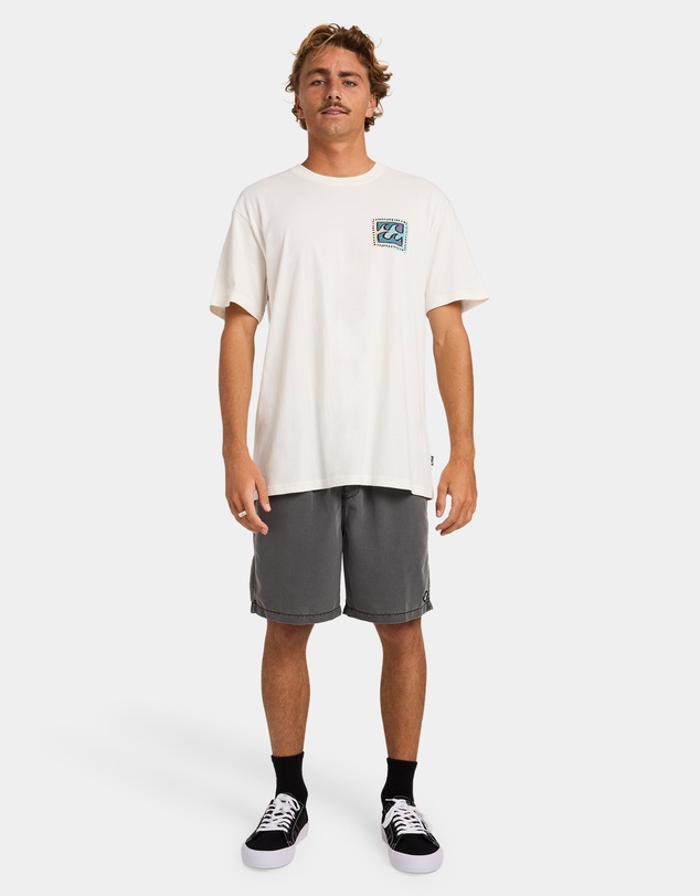 Billabong - Mens Crayon Wave Premium T-Shirt