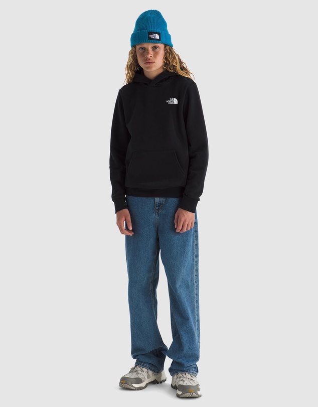 The North Face - Evolution Box NSE Pullover Hoodie - Teens