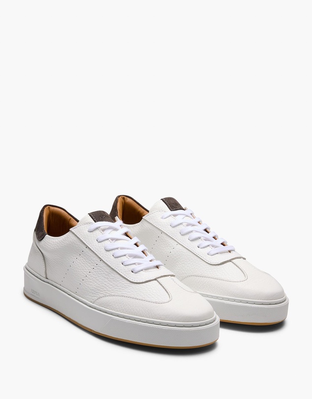 Aquila - Odin Wing Sneakers