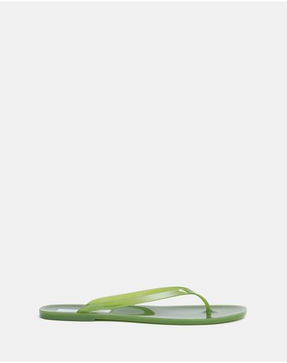 Dypsis Green