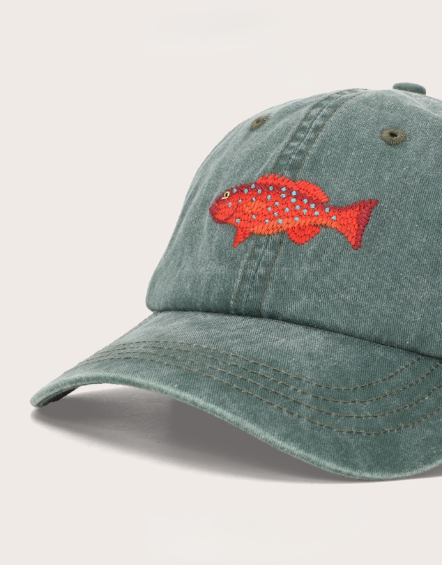 Pallion Point - Coral Trout Fish Lid