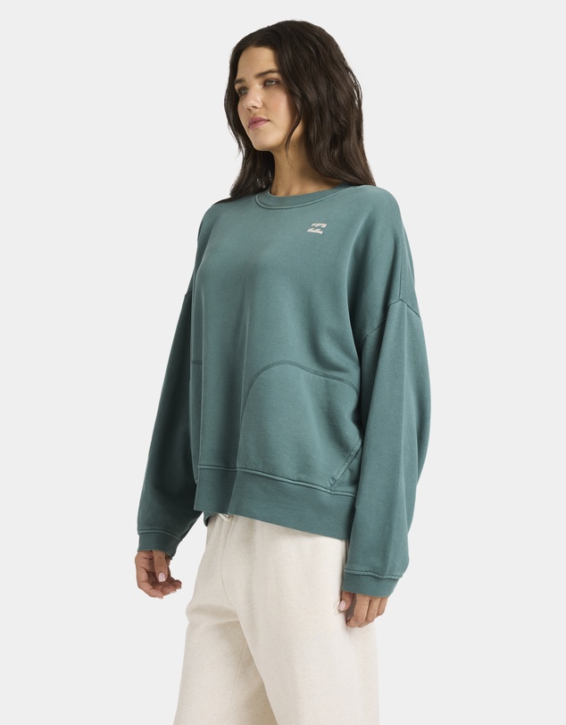Billabong - Womens Don't Forget Pullover Crew Neck