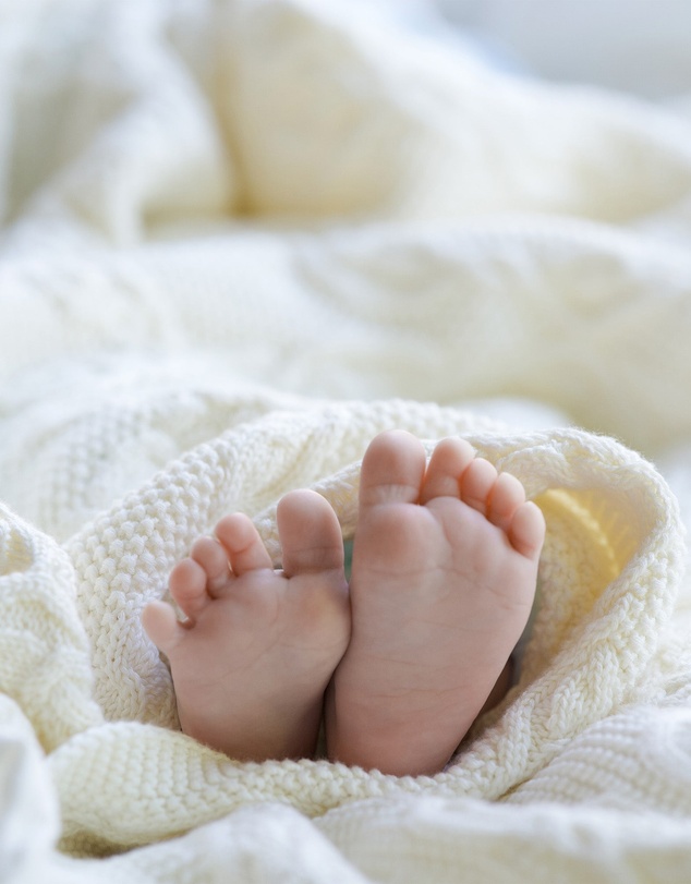 Toshi - Organic Blanket Bowie
