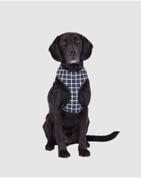 Mog & Bone - Neoprene Dog Harness - Navy Check Print