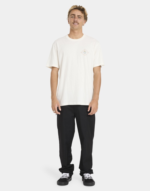 Billabong - Mens Agave Adiv Premium Fit T-Shirt