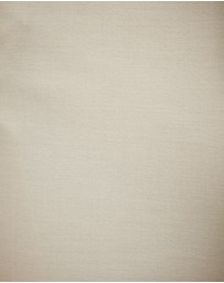 Politix - Lincoln Everyday Pant