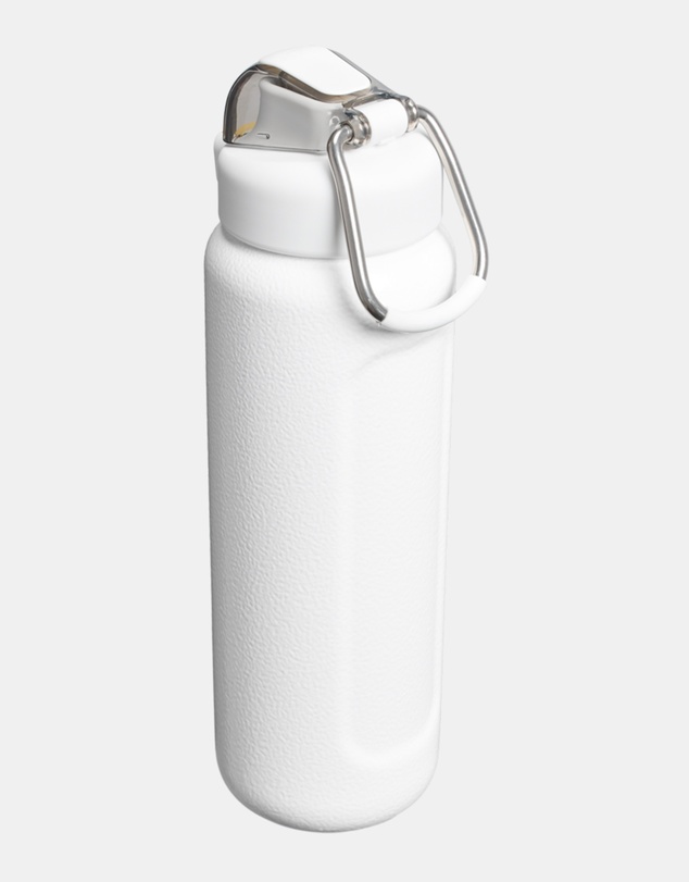 Stanley 1913 - The Wellspring Bottle 24oz