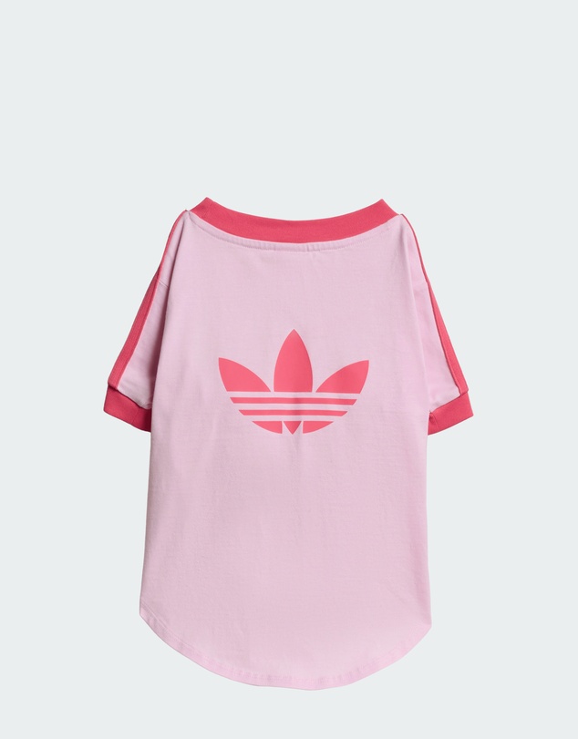adidas Originals - adidas Pet Cali Tee