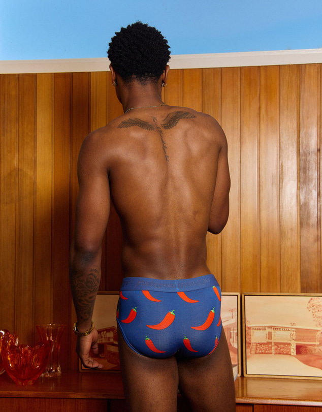 Budgy Smuggler - Men's Underwear Briefs in Chilli Willies