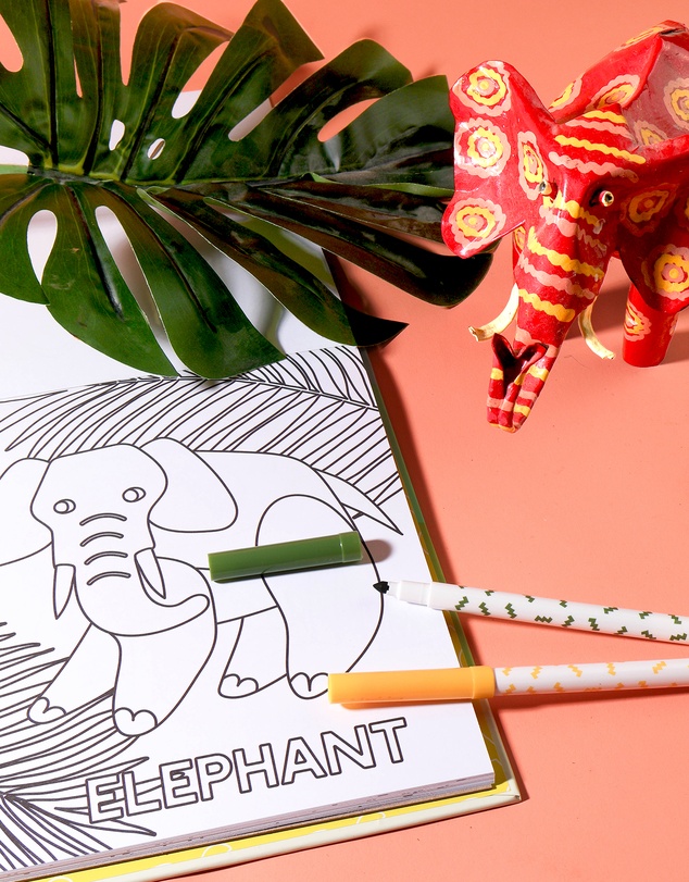 Journey Of Something - Alphabet Safari Colouring Kit
