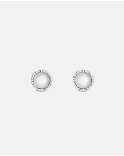 Daniel Wellington - Audrey Earrings Mother of Pearl